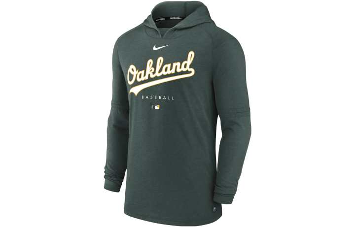 Nike Nike Sweatshirts Men's Green Hooded Moderate Regular