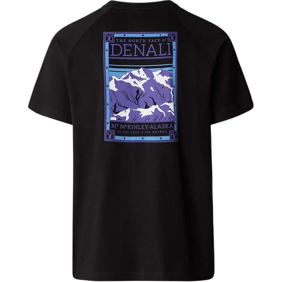 THE NORTH FACE North Faces T Shirt