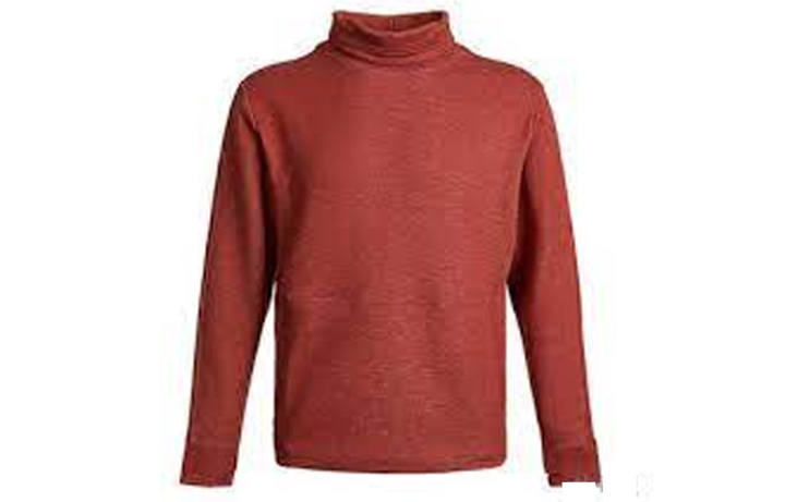 Nike Nike Sweatshirts Men's Red Turtleneck Moderate Regular