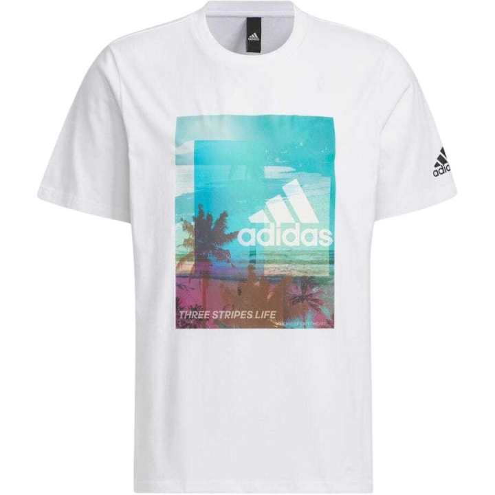Adidas Adidas T Shirts Men's White Crew Neck Moderate Straight Fit