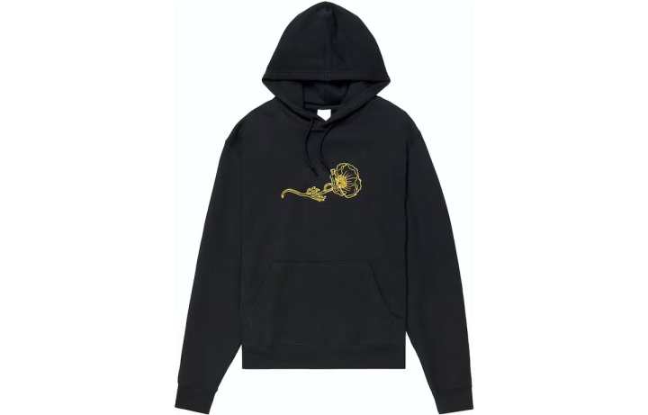 Nike Nike Sb Novelty Embroidered Hoodie