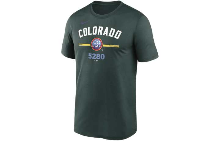 Nike Nike Michigan State Sideline Legend Men's Nike Dri FIT College T Shirt