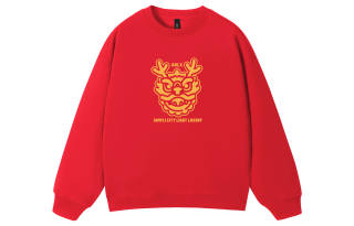 Aolx Sweatshirts Unisex Crew Neck Moderate Heavyweight