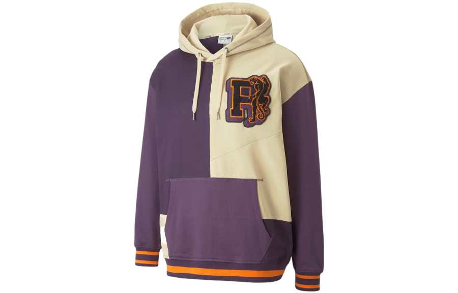 PUMA Legends Sweatshirts Men's Purple Hooded Moderate Regular