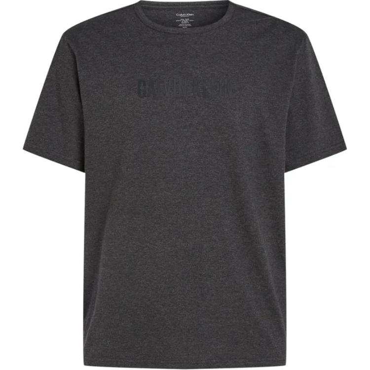 CALVIN KLEIN T Shirt Europe Version Men's Gray