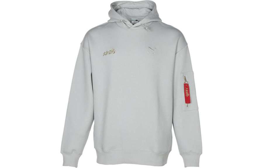 PUMA Sweatshirts Men's Gray Hooded Moderate Regular