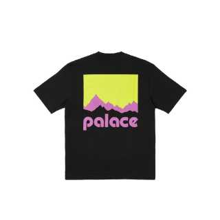 PALACE Berghaus T Shirt