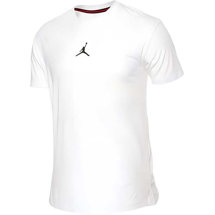 Jordan Jordan Dri Fit Air S/S Graphic T shirt