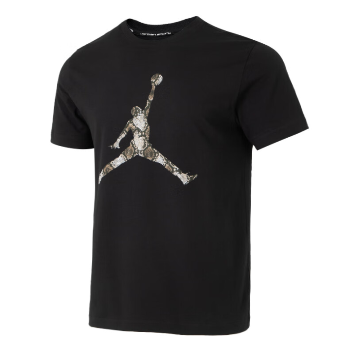 Jordan JORDAN Sport Men's Dri FIT T Shirt