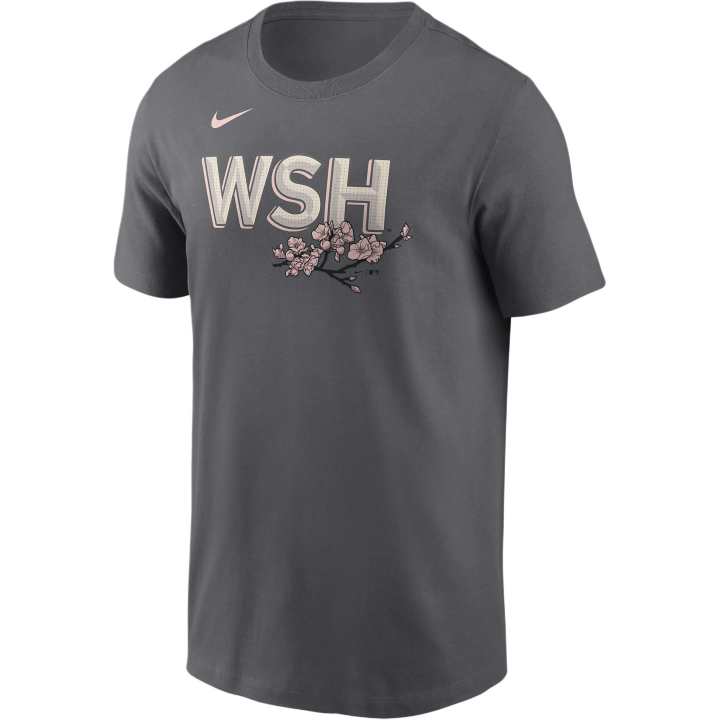 Nike Nike x MLB Washington FW24 T Shirt Men's Gray
