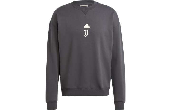 Adidas Adidas Juventus Sweatshirts Men's Gray Crew Neck Moderate Regular