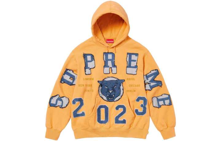 Supreme Supreme Washed Panther Hooded Sweatshirt
