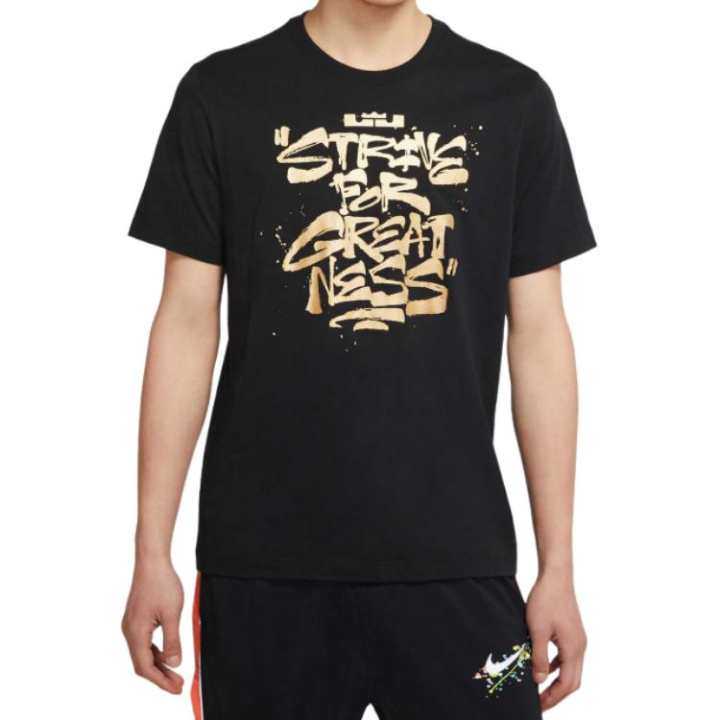 Nike Nike Lebron Strive For Greatness T Shirt