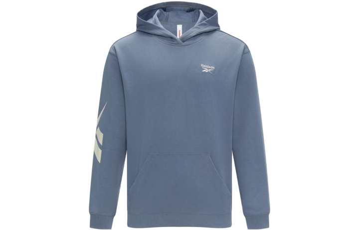 Reebok Reebok Sweatshirts Unisex Blue Hooded Moderate Regular