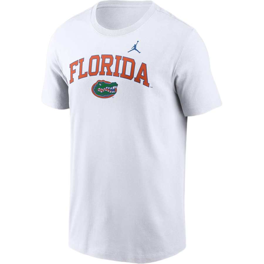 Jordan JORDAN Men's Nike College T-Shirt Florida Gators Blitz