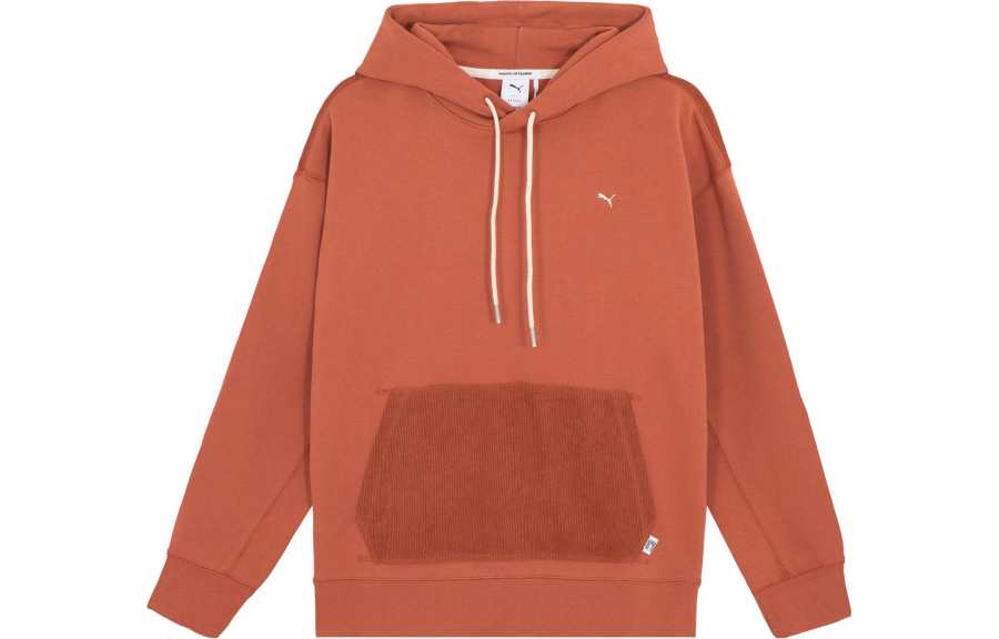 PUMA Sweatshirts Unisex Fruit Vinegar Brown Hooded Moderate Other