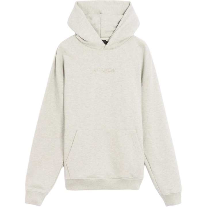 Jordan Jordan Sweatshirts Men's Gray Hooded Moderate Regular
