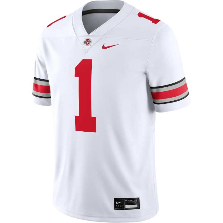 Nike Nike Ohio State Buckeyes Men's Nike Dri FIT College Game Jersey