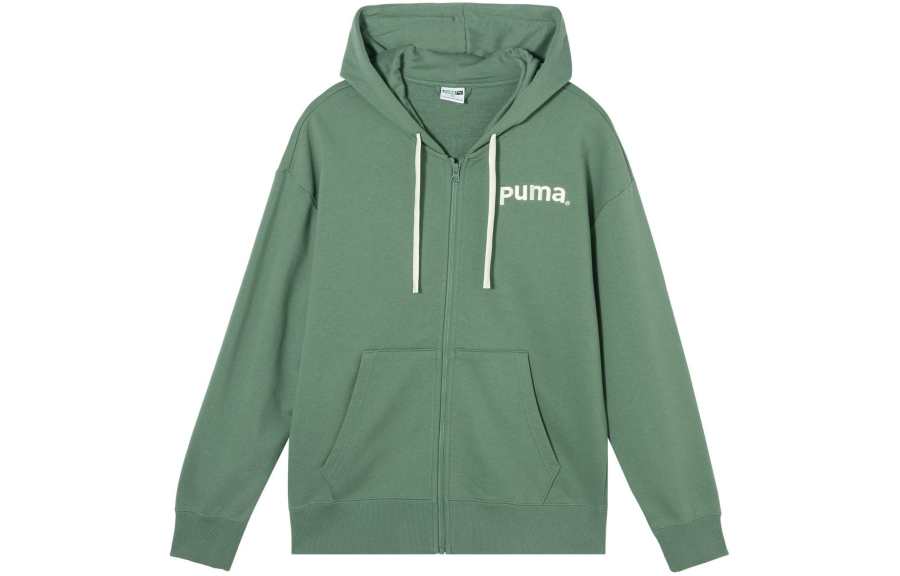 PUMA TEAM FZ HOODIE TR Sweatshirt Unisex Light Green Gray