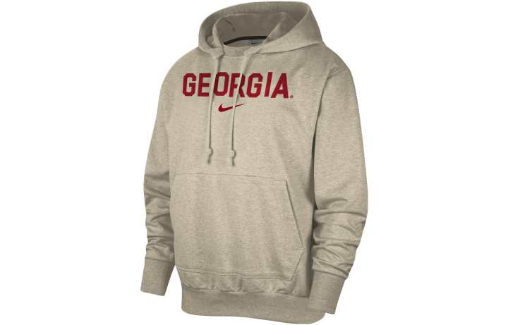 Nike Nike Sweatshirts Men's Gray Hooded Moderate Regular