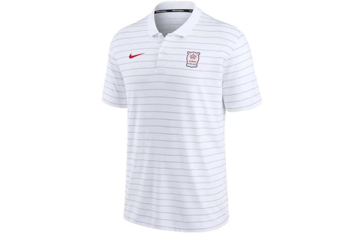 Nike Nike Polo Shirts Men's White Polo Collar Moderate Other