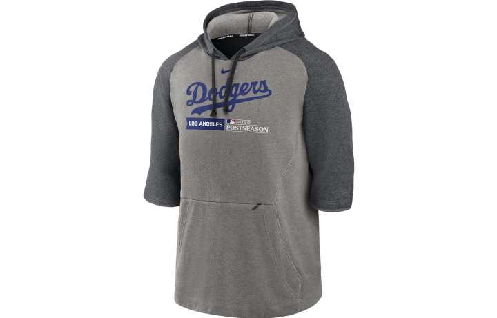 Nike Nike Sweatshirts Men's Gray Hooded Moderate Regular