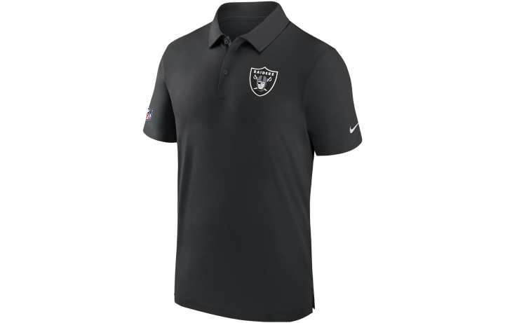 Nike Nike Las Vegas Raiders City Pride Sideline Men's Nike Dri-FIT Nfl Polo