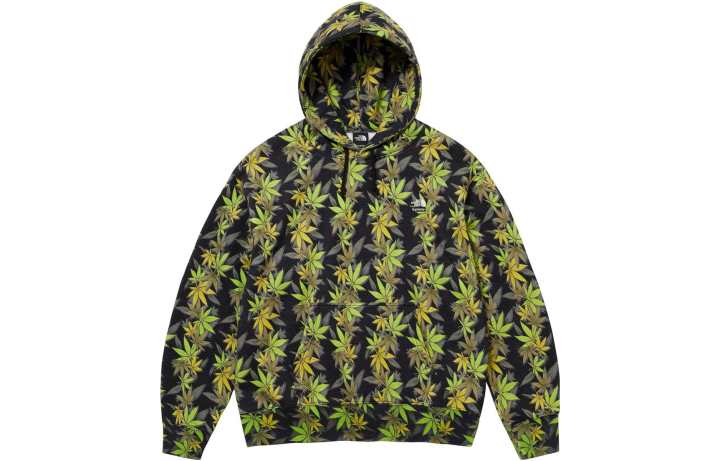 Supreme Supreme The North Face Leaf Hooded Sweatshirt