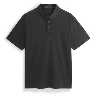 PEACEBIRD MEN Polo Shirts Men's Polo Collar Moderate Straight Fit