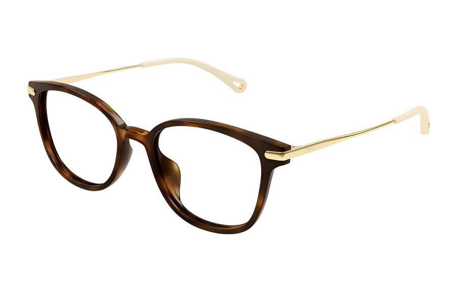 Chloé Chloe Acetate Square Eyeglass Frames Unisex Tortoiseshell