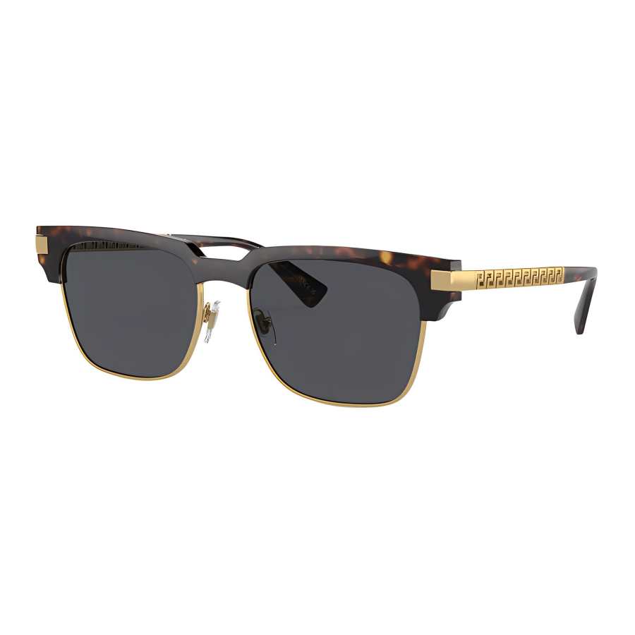 VERSACE VERSACE Nylon Injection Irregular Shape Sunglasses Men's Tortoiseshell