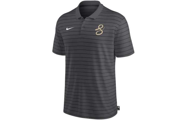 Nike Nike Arizona Diamondbacks Authentic Collection City Connect Victory Men's Nike Dri FIT Mlb Polo