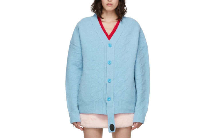 WE11DONE WE11DONE Sweaters Unisex Blue V Neck Moderate Other