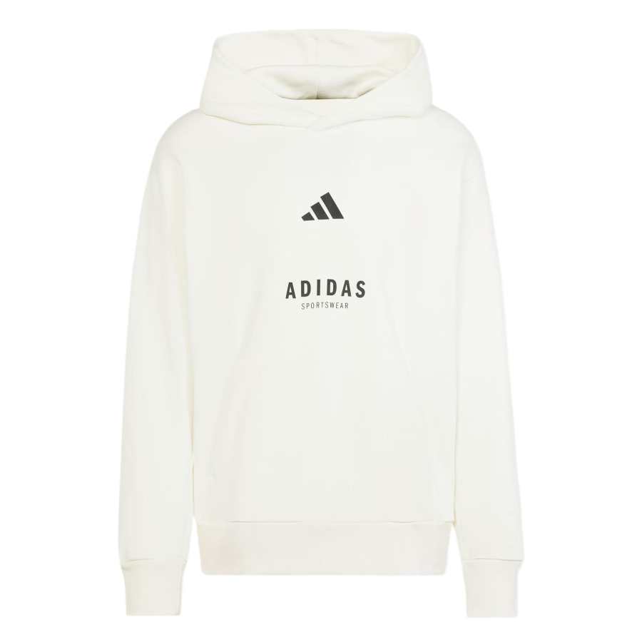 Adidas Adidas All Szn Fleece Graphic Hoodie