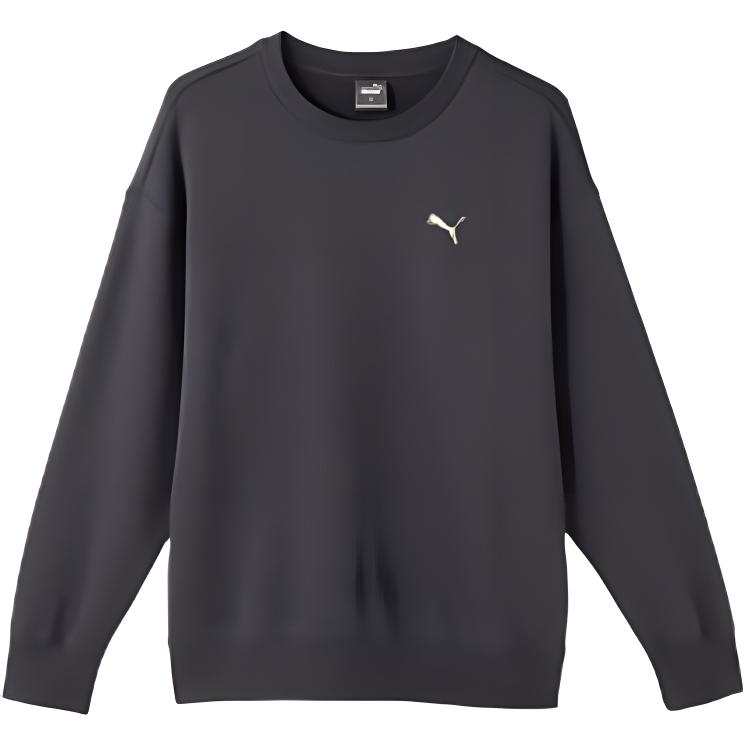 PUMA Athleisure Loose Fit Fleece Lined Pullover Sweatshirt Unisex Galaxy Gray