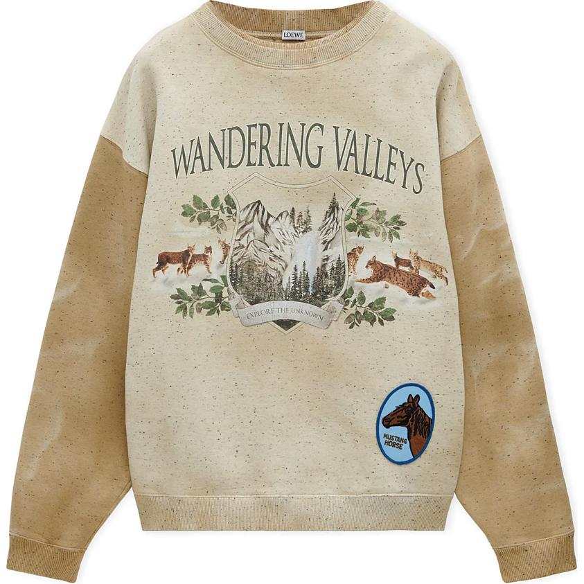 LOEWE LOEWE Wandering Valleys Sweatshirt
