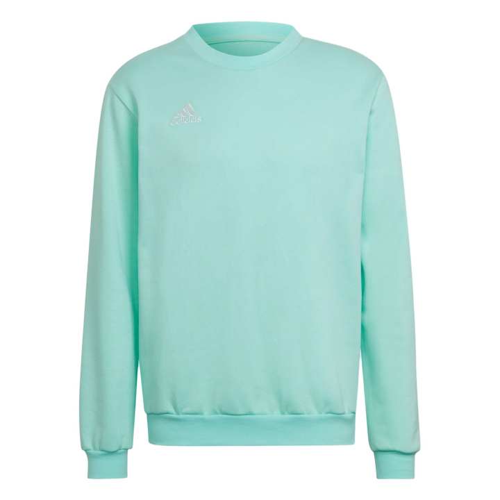 Adidas Adidas Entrada 22 Sweatshirt Unisex Turquoise