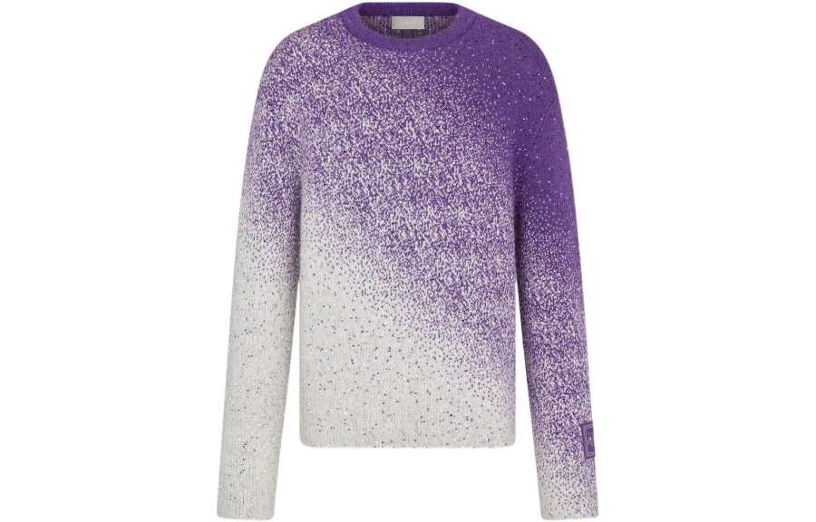 DIOR DIOR X Erl Sweater