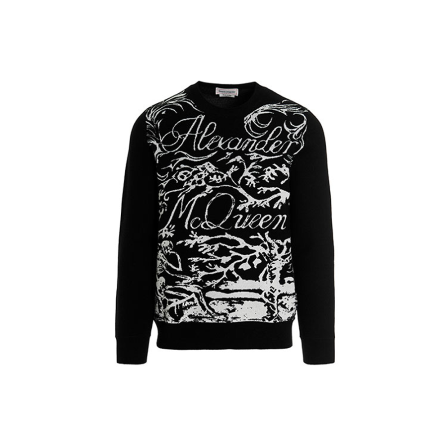 Alexander McQueen Alexander McQueen Sweaters Men's Black Crew Neck Moderate Other