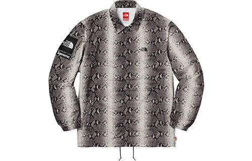 Supreme Supreme The North Face Snakeskin Taped Seam Coaches Jacket
