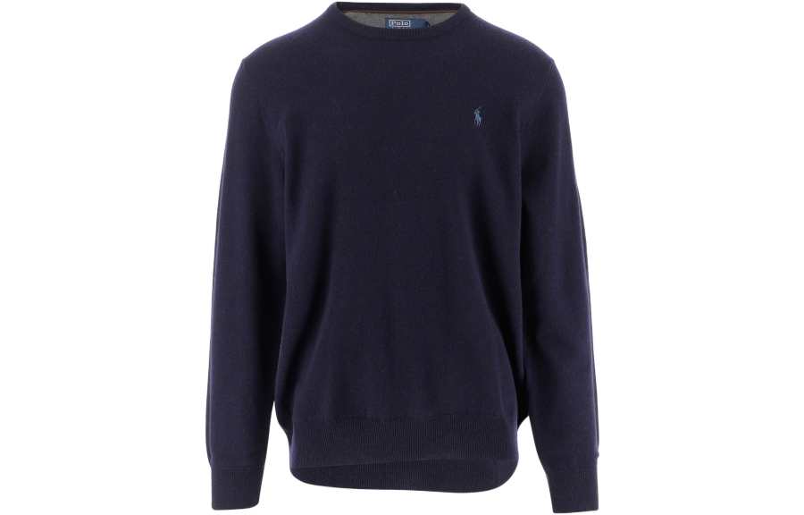 Polo Ralph Lauren Sweater Standard Men's Blue