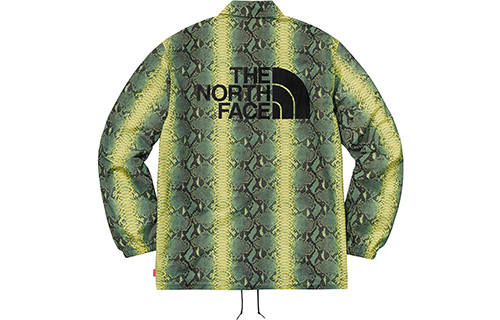 Supreme Supreme The North Face Snakeskin Taped Seam Coaches Jacket
