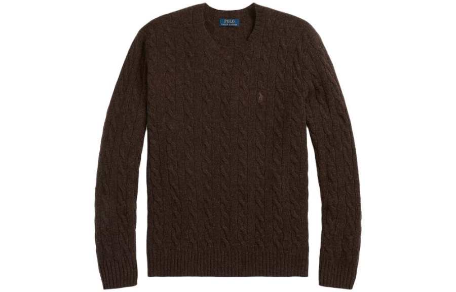 Polo Ralph Lauren FW23 Sweater Standard Men's Brown