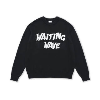 WAITINGWAVE Sweaters Unisex Crew Neck Moderate Other