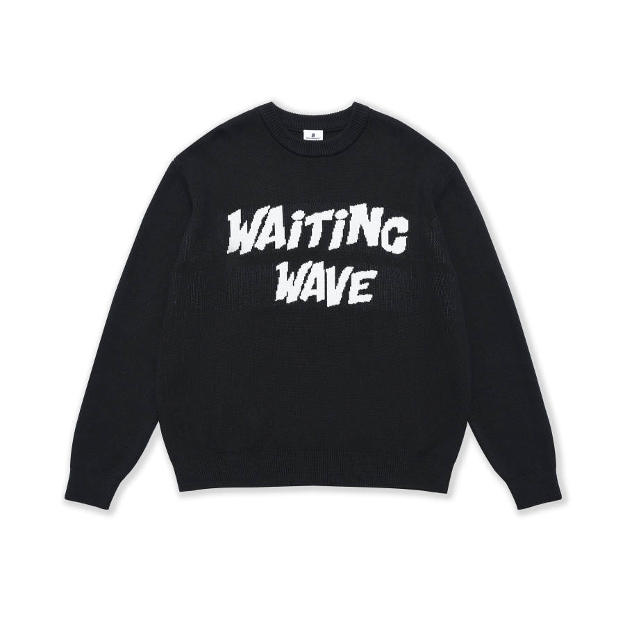 WAITINGWAVE WAITINGWAVE Sweaters Unisex Crew Neck Moderate Other