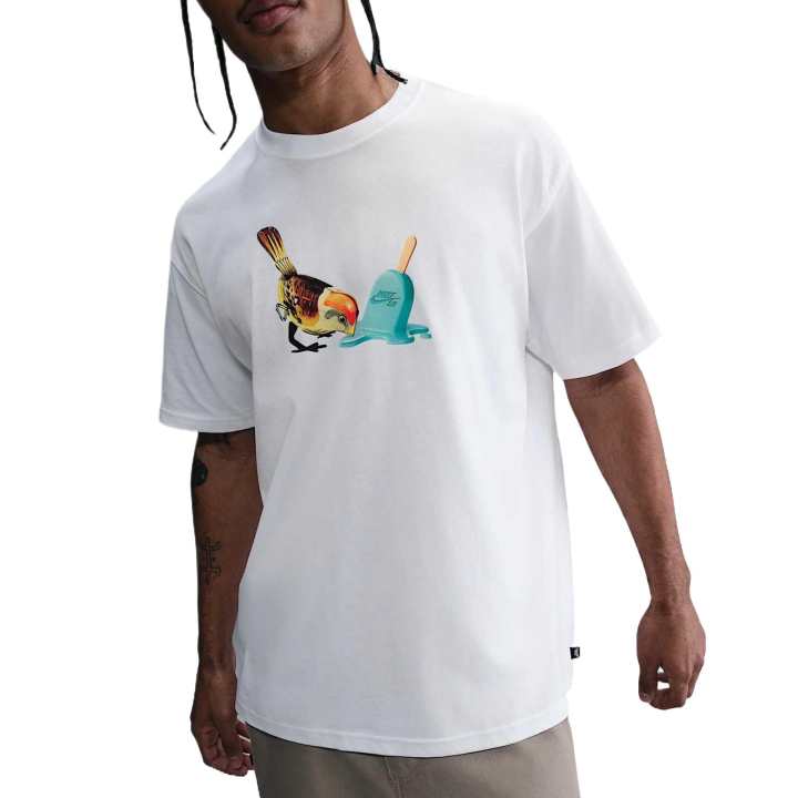 Nike Nike Sb Max90 Skate T Shirt