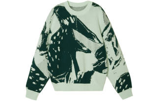 CROQUIS Knitwear Unisex Crew Neck Moderate A Line