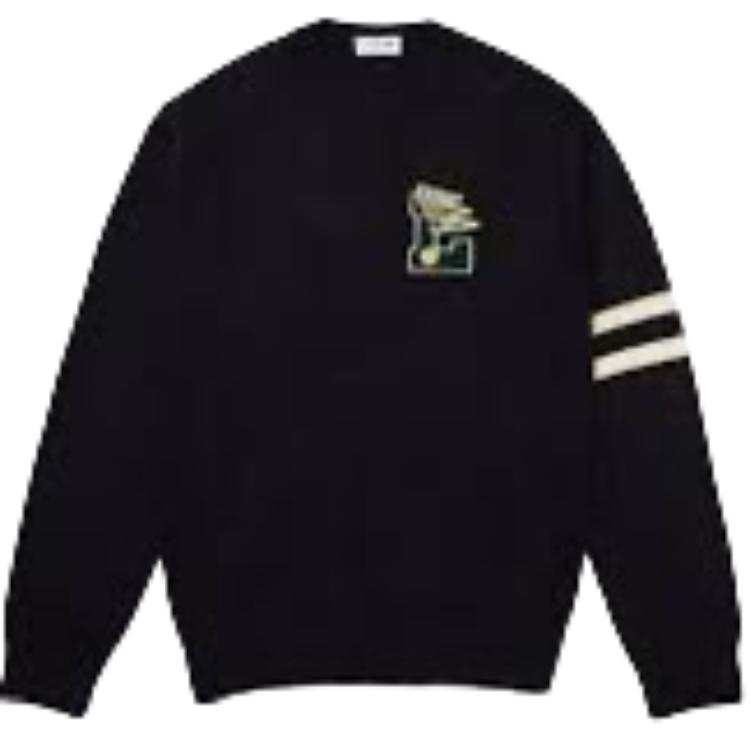 LACOSTE LACOSTE Sweaters Unisex Crew Neck Moderate Other