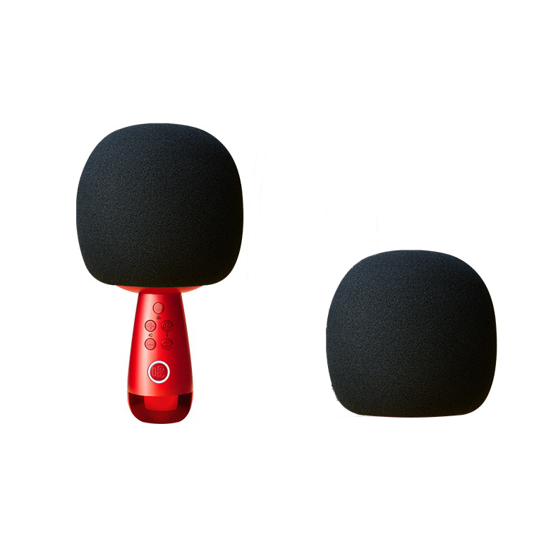 Sing Microphones