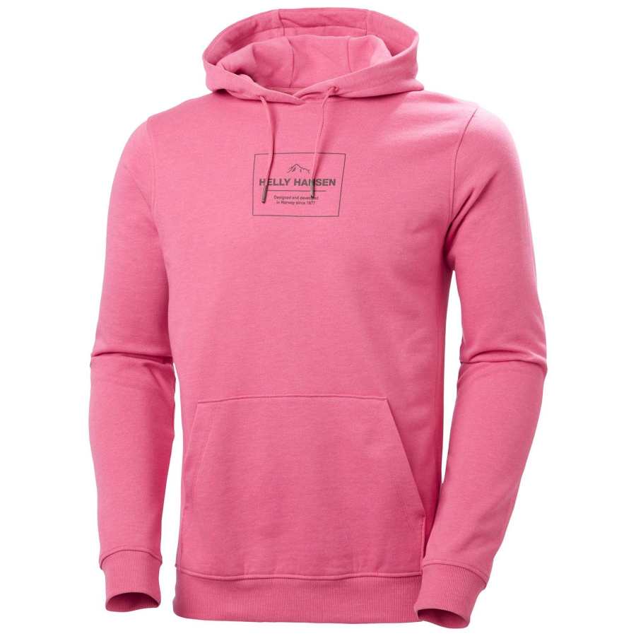 HELLY HANSEN Men's F2F Organic Cotton Hoodie Sweatshirt Men's
